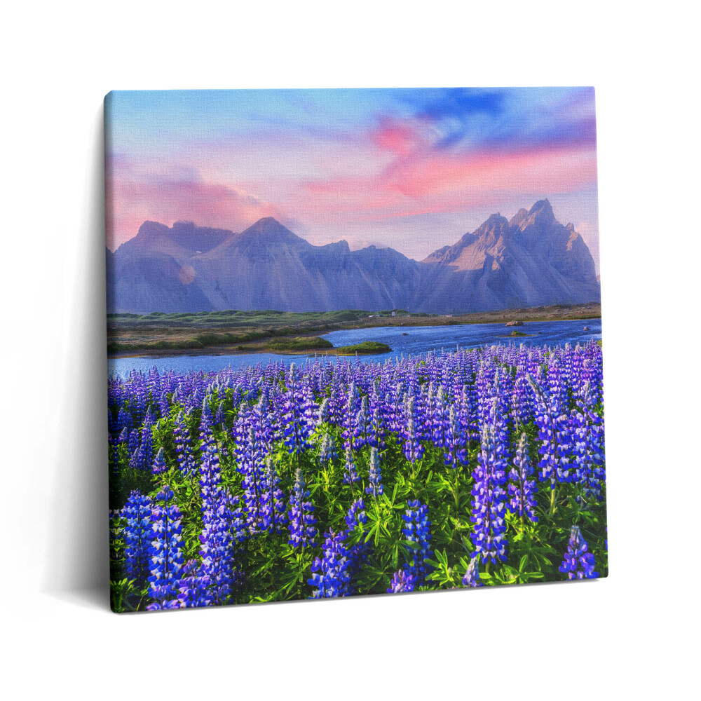 Obraz na plátně 60x60 cm Levandulová pole - Island