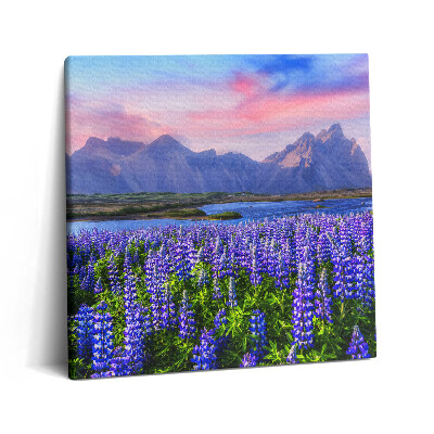 Obraz na plátně 60x60 cm Levandulová pole - Island