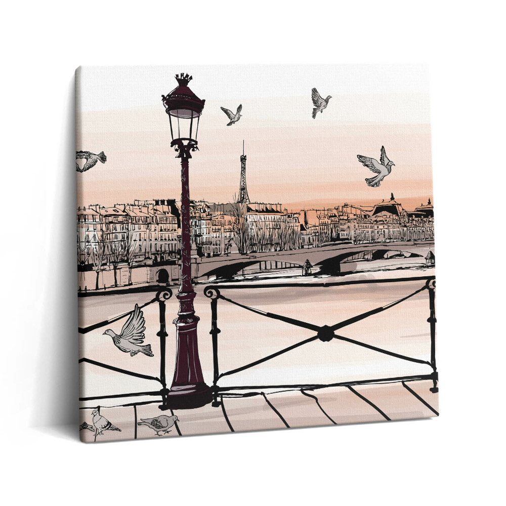 Obraz z fotografie na plátně 60x60 cm Západ slunce nad Seinou