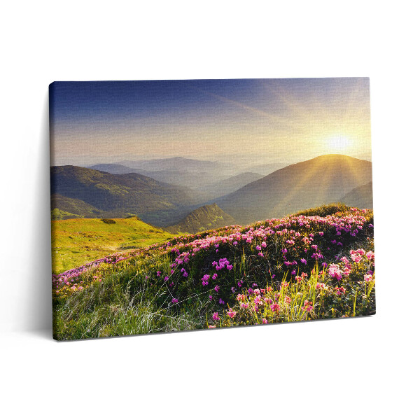 Obraz z fotografie na plátně 80x60 cm Hory a louka s květinami