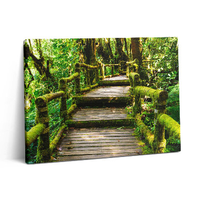 Obraz z fotografie na plátně 80x60 cm Dřevěná lávka - agroturistika