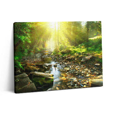 Obraz z fotografie na plátně 80x60 cm Lesní potok na slunci