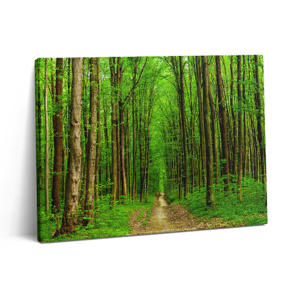 Obraz canvas 80x60 cm Lesní cesta mezi stromy