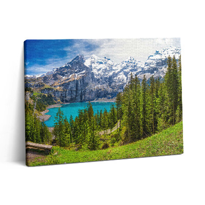 Obraz canvas 80x60 cm Krajina luk a hor