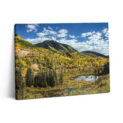 Obraz canvas 80x60 cm Krajina s horskou vegetací