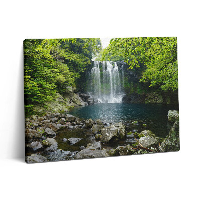 Obraz z fotografie na plátně 80x60 cm Vodopád a řeka mezi stromy