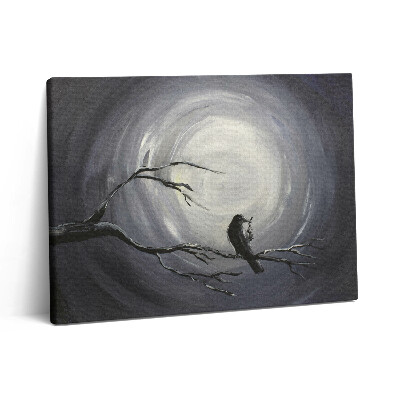 Obraz na plátně 80x60 cm Havran v měsíčním světle