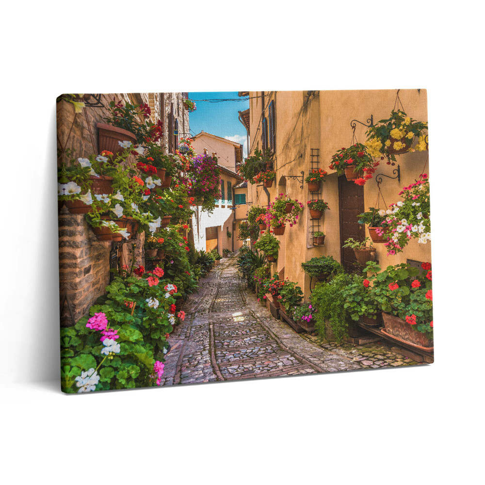 Obraz z fotografie na plátně 80x60 cm Květinová ulice v Umbrii