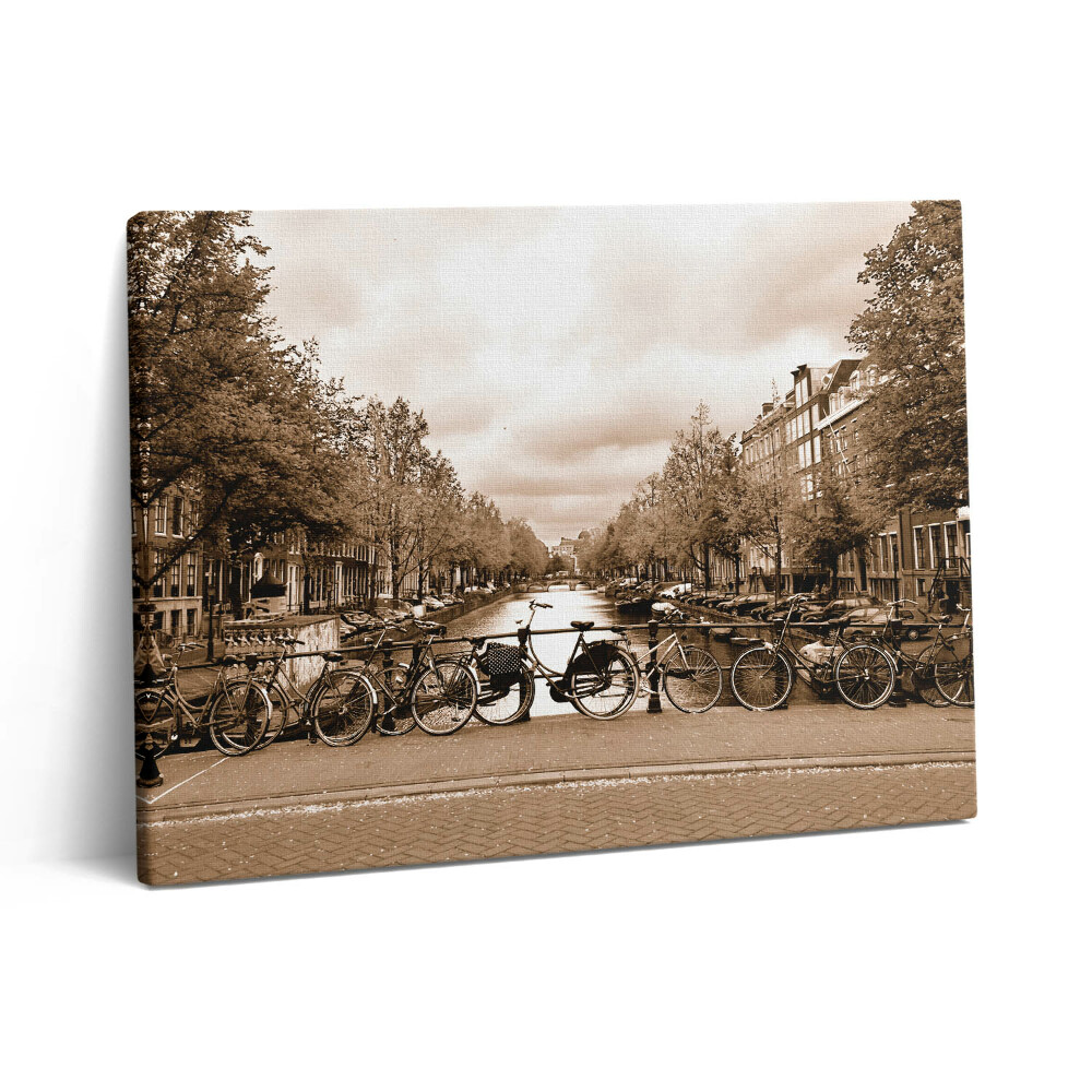 Obraz canvas 80x60 cm Pohled na Amsterdam na kole
