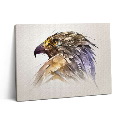 Obraz z fotografie na plátně 80x60 cm Královský dravý pták