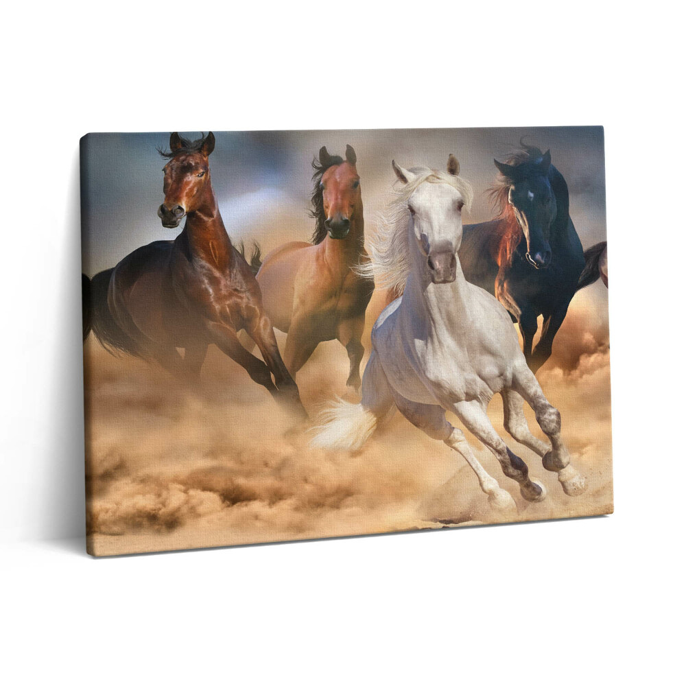 Obraz canvas 80x60 cm Koně nabíhající v cvalu