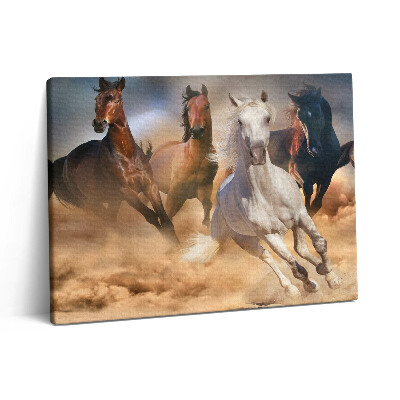Obraz canvas 80x60 cm Koně nabíhající v cvalu