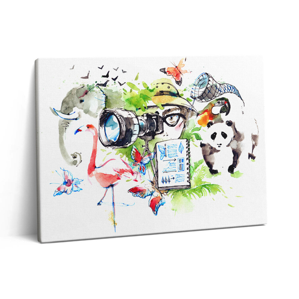 Obraz canvas 80x60 cm Akvarel zvířecí příroda a zoolog