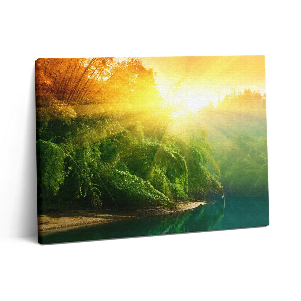 Obraz na plátně 80x60 cm Přírodní krajina na slunci