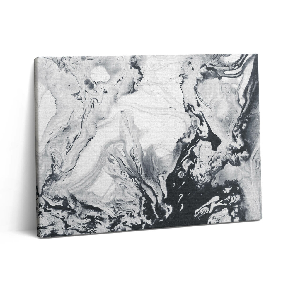 Obraz z fotografie na plátně 80x60 cm Tušová abstrakce - mramorová tuš