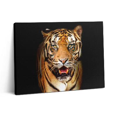Obraz z fotografie na plátně 80x60 cm Výrazná divoká tygří kočka
