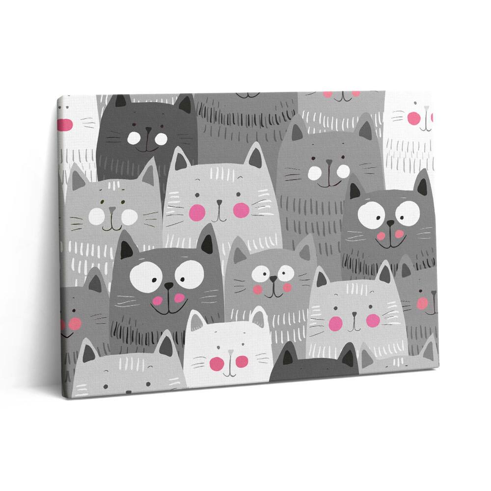 Obraz z fotografie na plátně 80x60 cm Vzor s kočkami