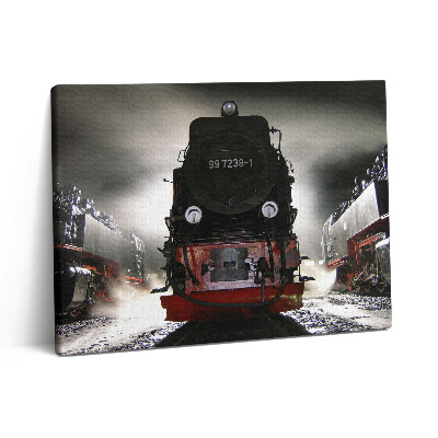 Obraz z fotografie na plátně 80x60 cm Lokomotivy v noci