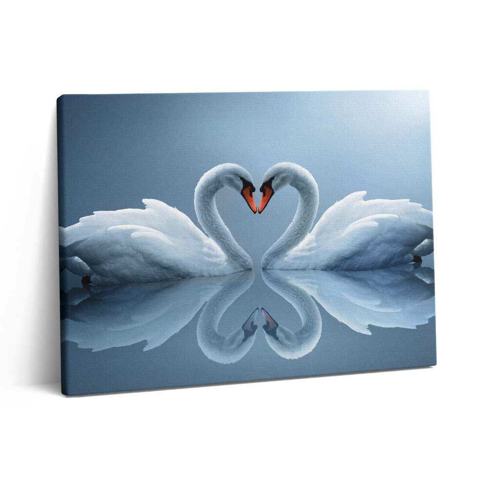 Obraz na plátně 80x60 cm Labutě naaranžované na znamení lásky