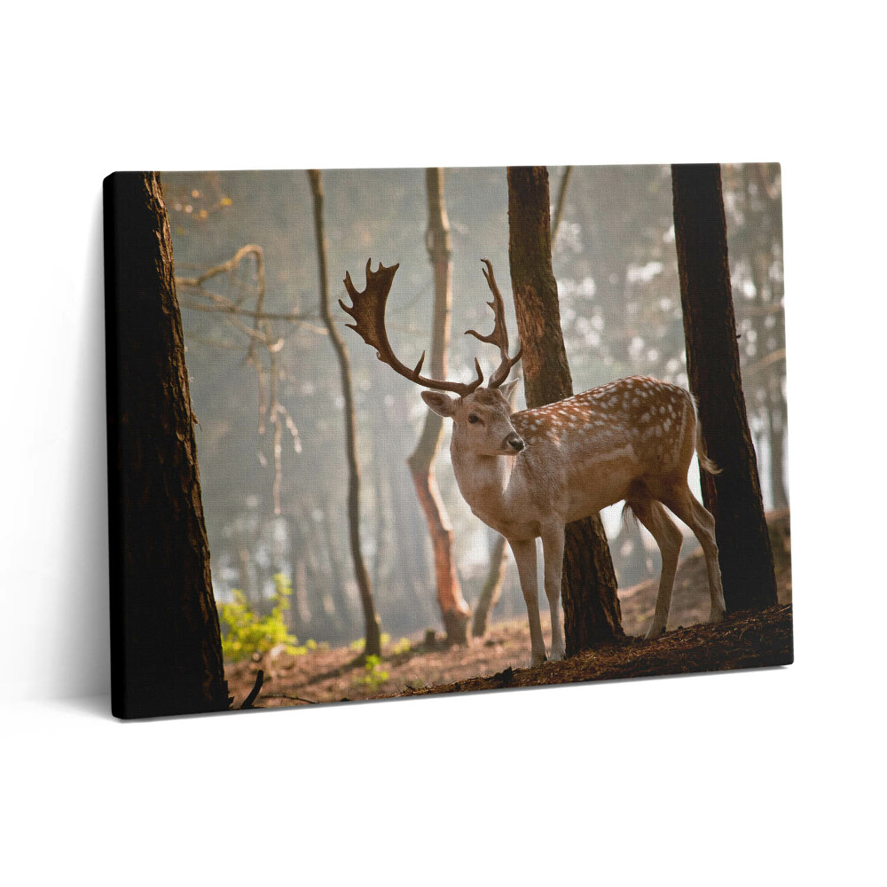 Obraz z fotografie na plátně 80x60 cm Jelen v záři vycházejícího slunce