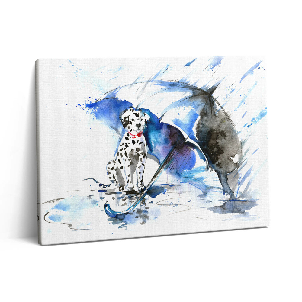 Obraz z fotografie na plátně 80x60 cm Dalmatinský akvarel pod deštníkem