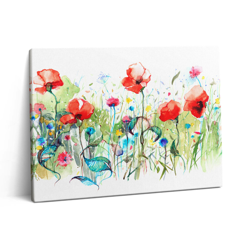 Obraz z fotografie na plátně 80x60 cm Mák na louce