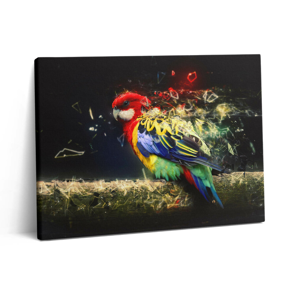 Obraz canvas 80x60 cm Papouščí abstrakce
