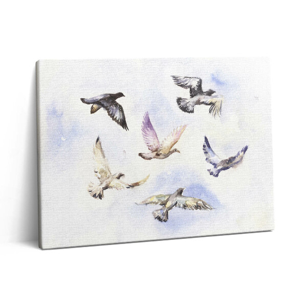Obraz z fotografie na plátně 80x60 cm Létající ptáci