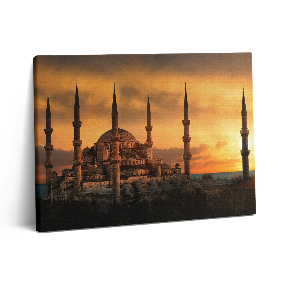 Obraz canvas 80x60 cm Istanbulská mešita