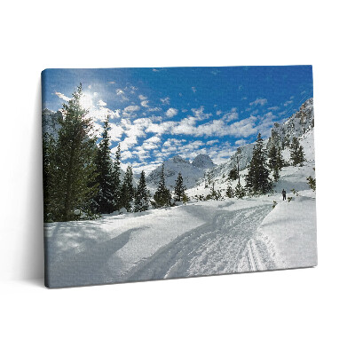 Obraz z fotografie na plátně 80x60 cm Hornatá krajina v zimě