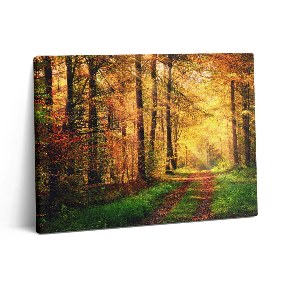 Obraz na plátně 80x60 cm Podzimní krajina lesa