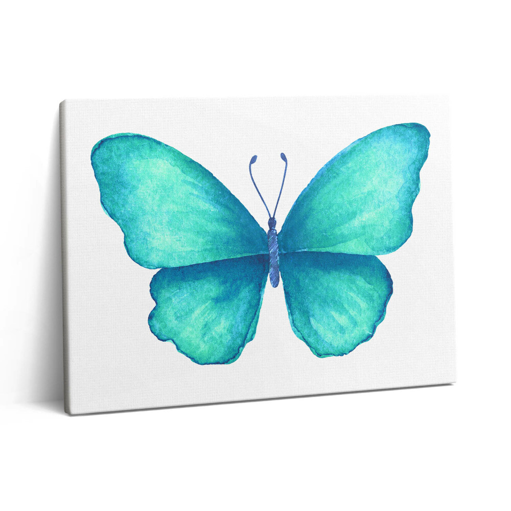 Obraz z fotografie na plátně 80x60 cm Tyrkysový letní motýl