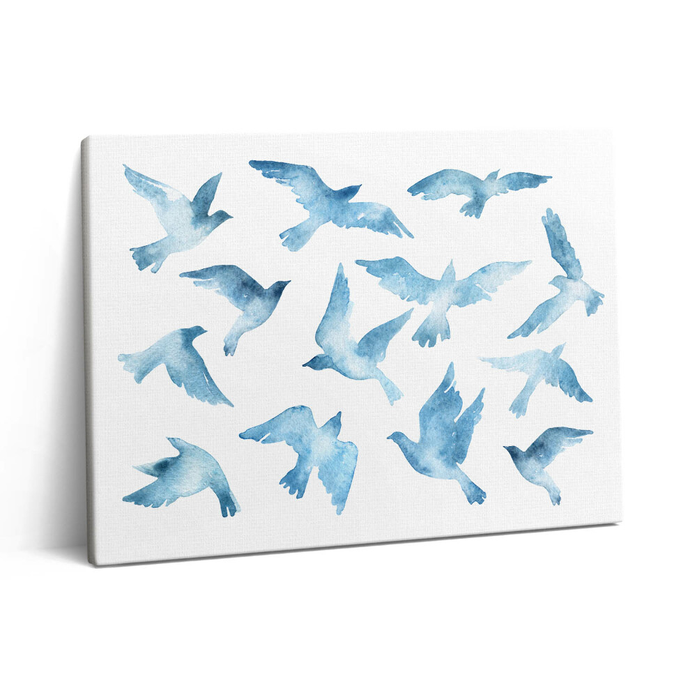 Obraz z fotografie na plátně 80x60 cm Ptáci letící ve vzduchu