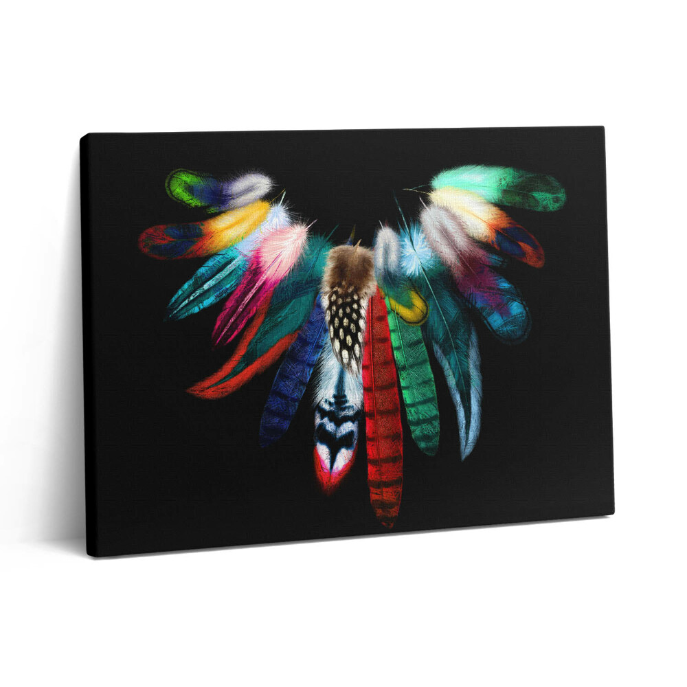 Obraz na plátně 80x60 cm Barevná ptačí pera