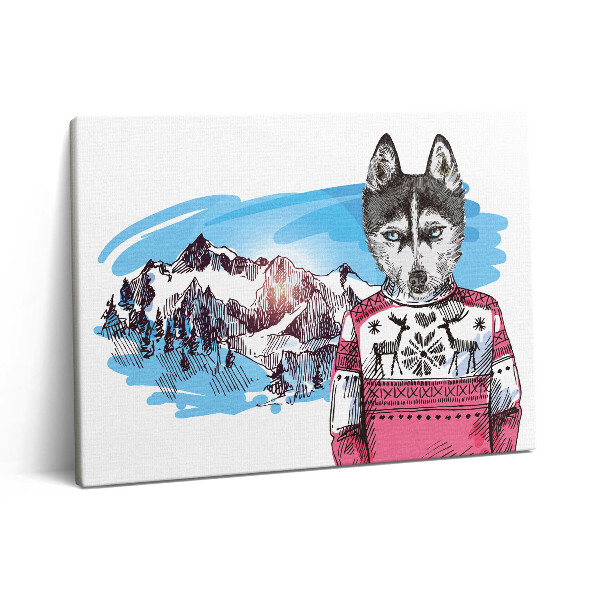 Obraz na plátně 80x60 cm Husky ve svetru