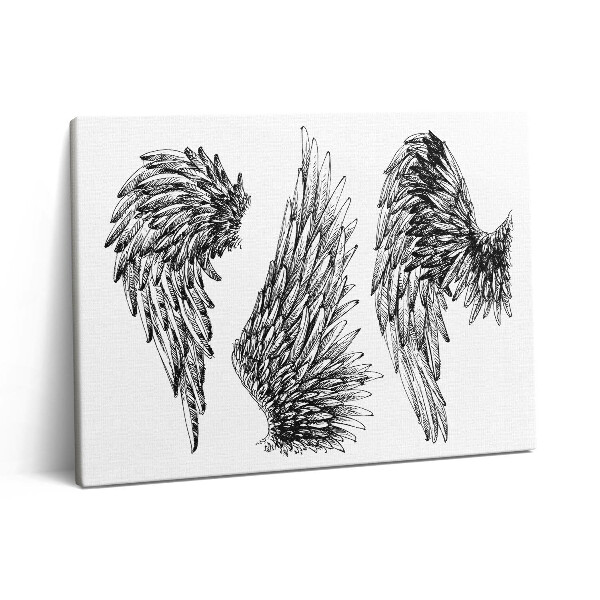 Obraz z fotografie na plátně 80x60 cm Křídla anděla