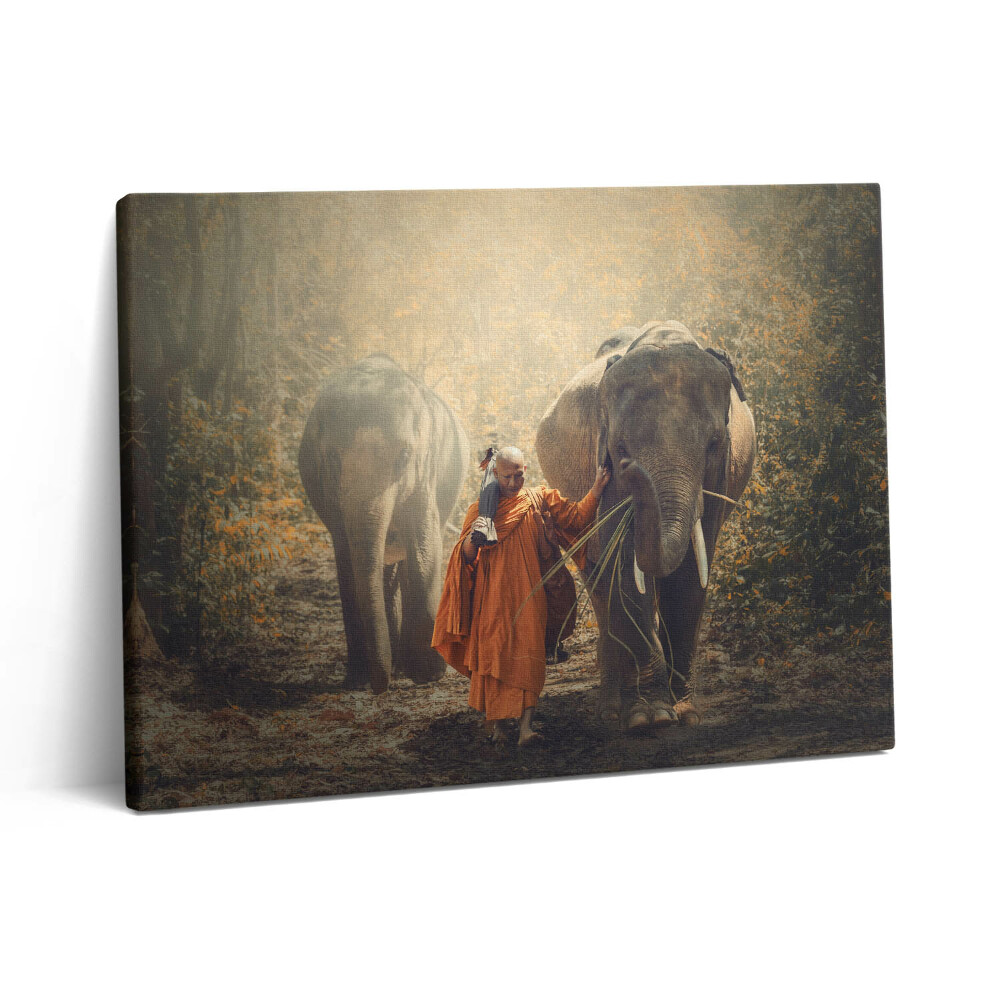Obraz z fotografie na plátně 80x60 cm Mnich a sloni