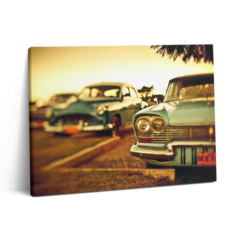 Obraz z fotografie na plátně 80x60 cm Stará auta - sbírka aut