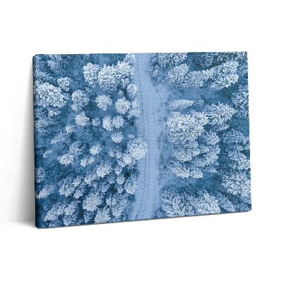 Obraz z fotografie na plátně 80x60 cm Les z ptačí perspektivy. Drony