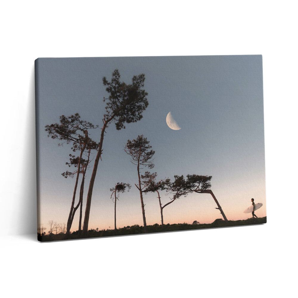 Obraz z fotografie na plátně 80x60 cm Půlměsíc a stromy