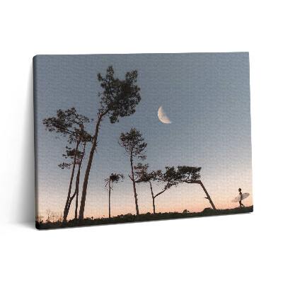Obraz z fotografie na plátně 80x60 cm Půlměsíc a stromy