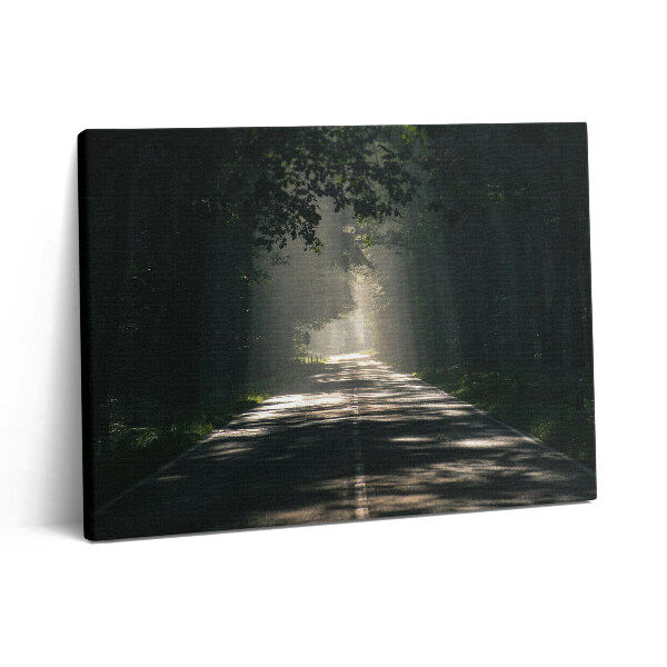 Obraz canvas 80x60 cm Lesní cesta a pruhy slunečního světla