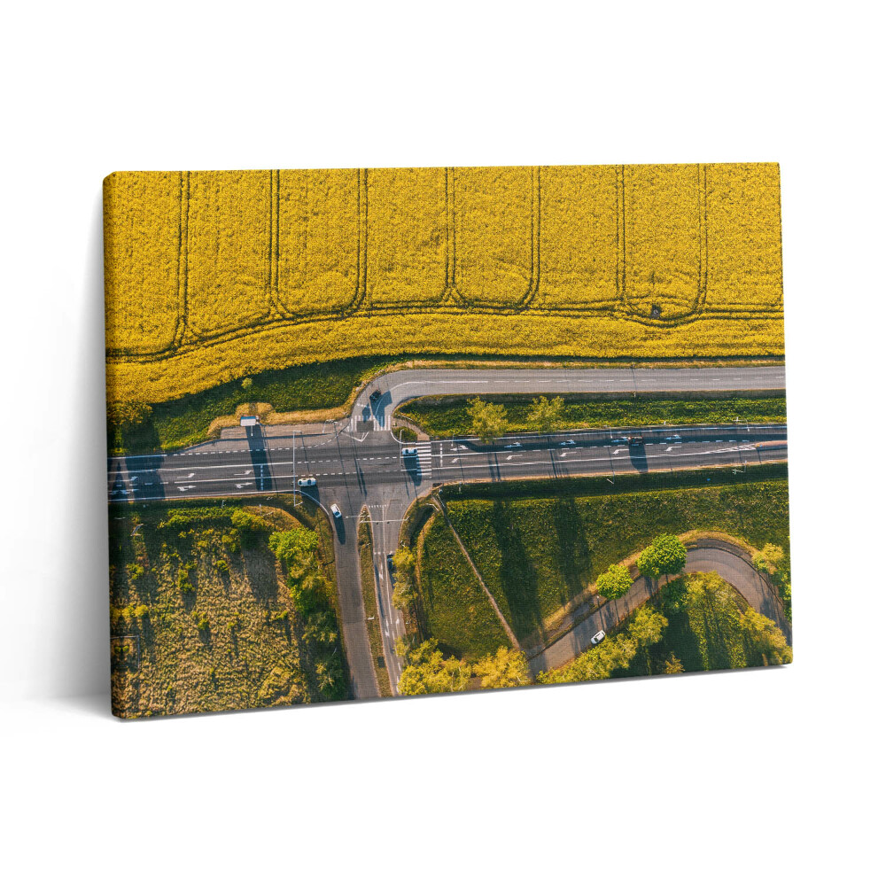 Obraz na plátně 80x60 cm Pole z dronu v Poznani