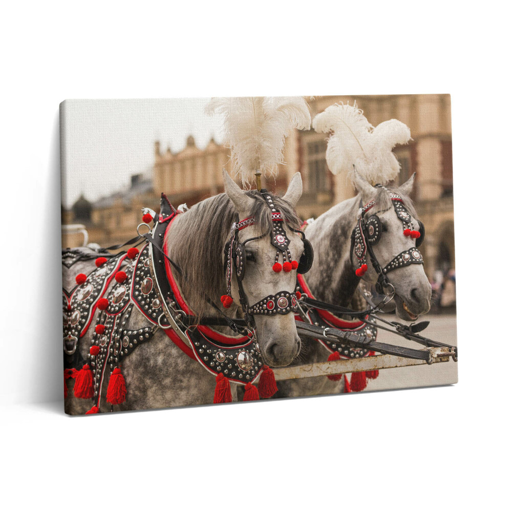 Obraz na plátně 80x60 cm Krásní koně v Krakově