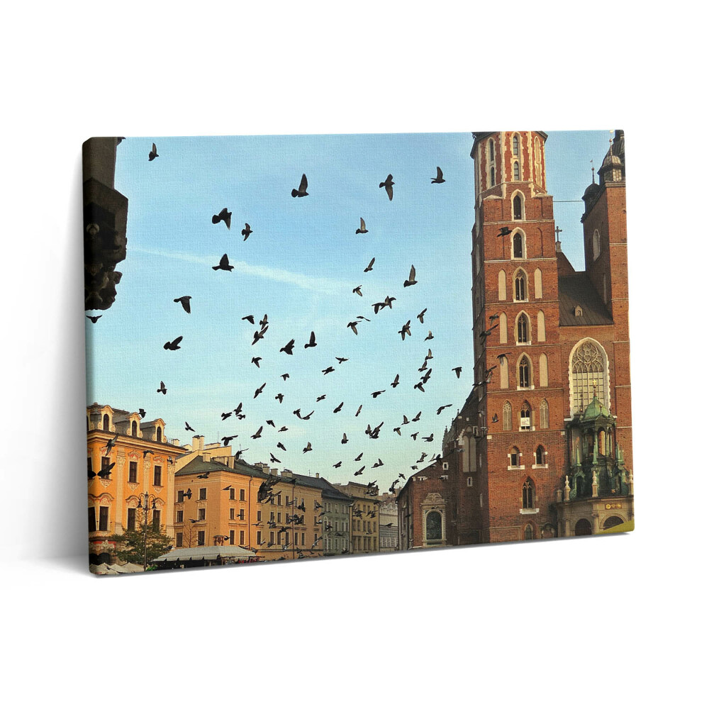 Obraz na plátně 80x60 cm Holubi v Krakově