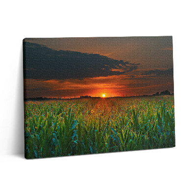 Obraz canvas 80x60 cm Slunečnice na louce