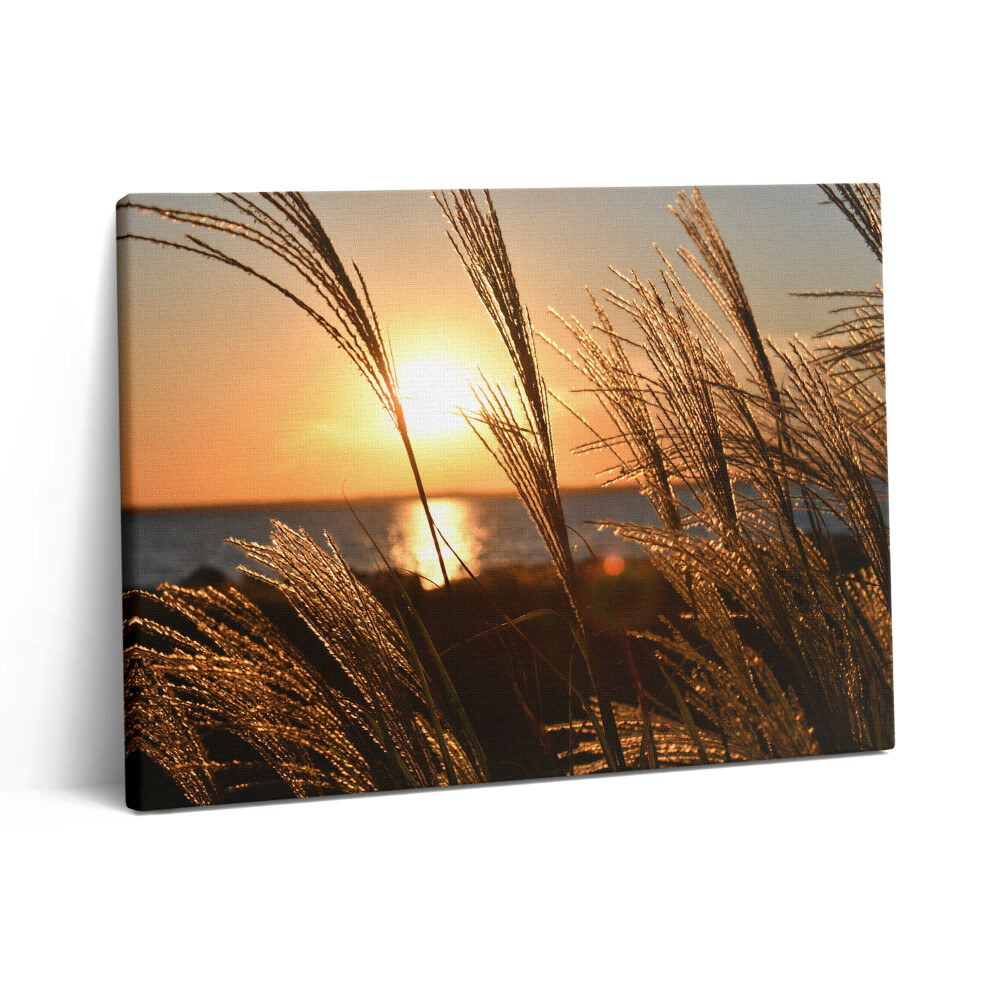 Obraz canvas 80x60 cm Pšenice ve zlaté hodině