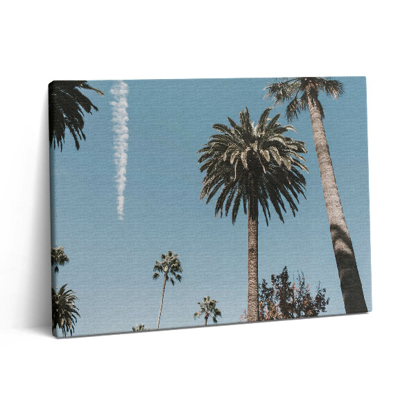 Obraz na plátně 80x60 cm Palmy v Los Angeles