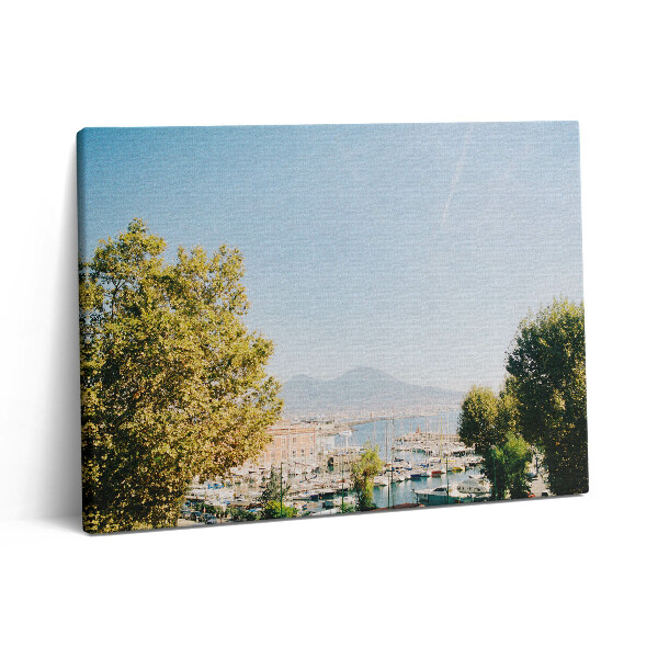 Obraz canvas 80x60 cm Zelené stromy v Neapoli