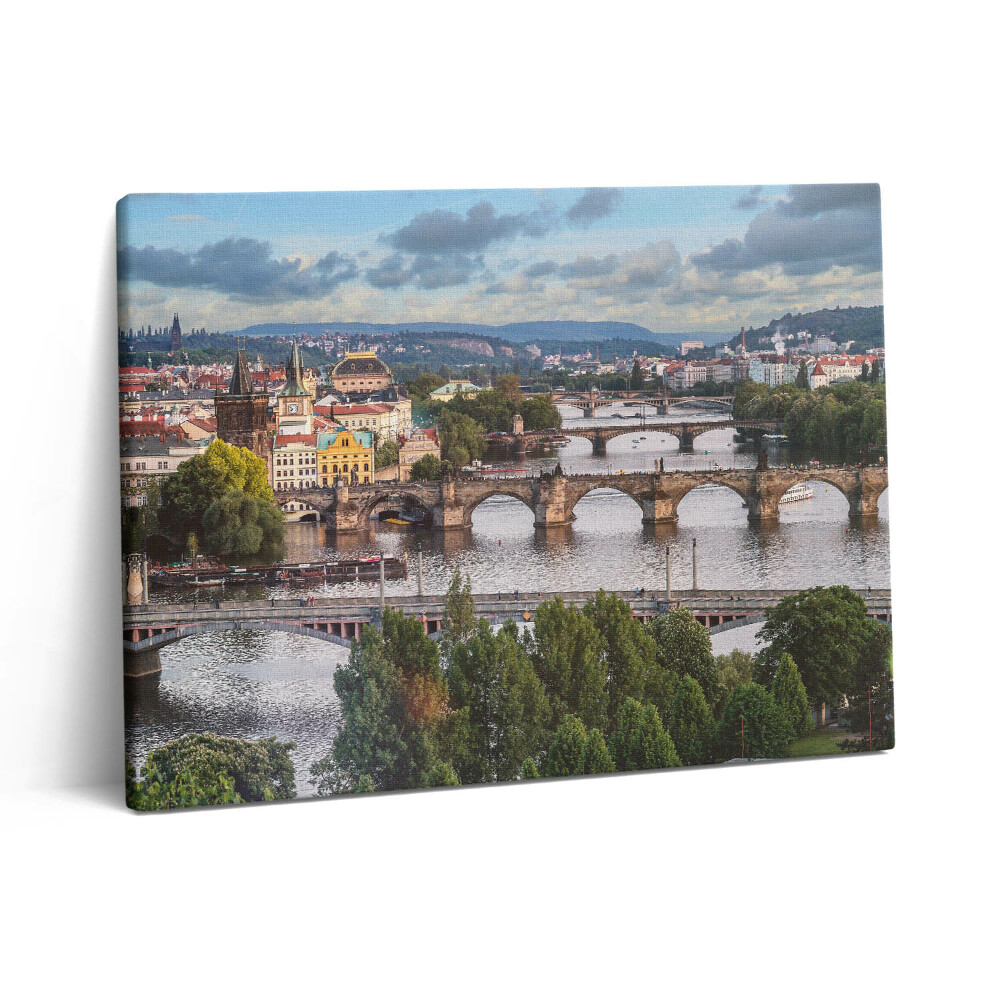 Obraz canvas 80x60 cm Pohled na Prahu